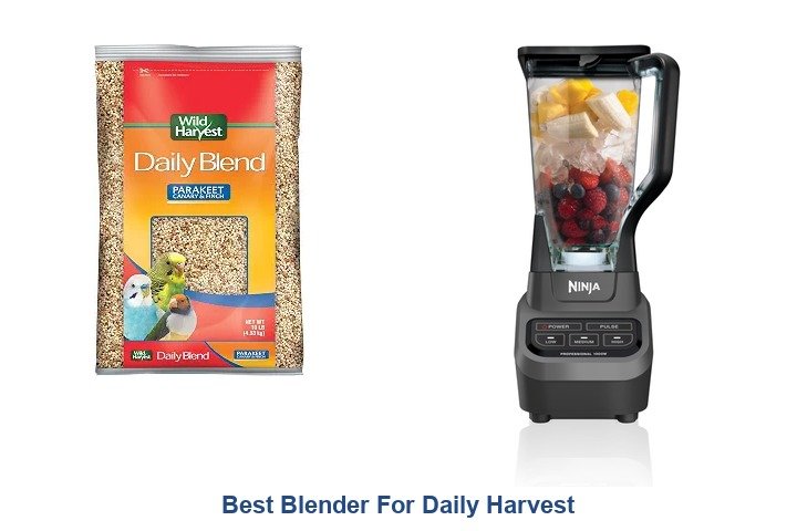 best blender for daily harvest