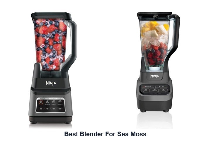 best blender for sea moss