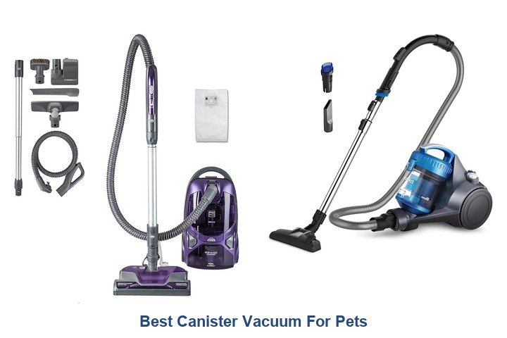 best canister vacuum for pets