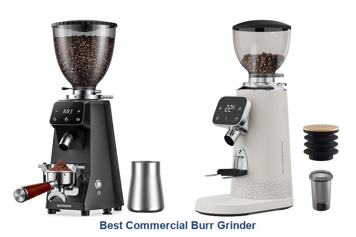 best commercial burr grinder