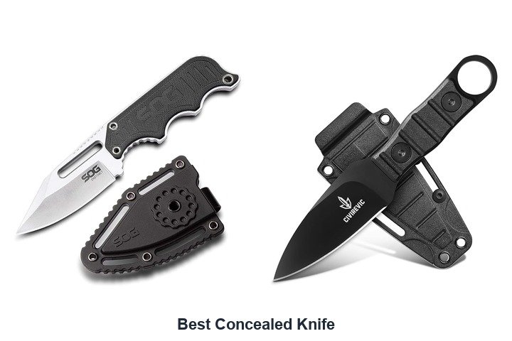 best concealed knife​