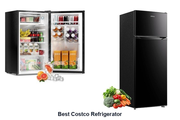 best costco refrigerator
