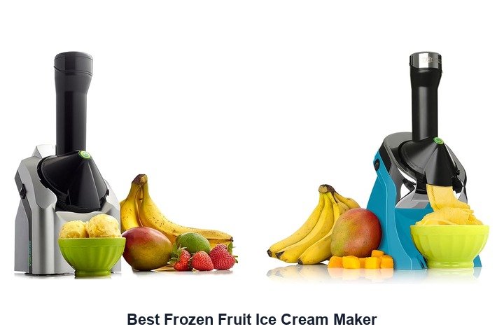 best frozen fruit ice cream maker