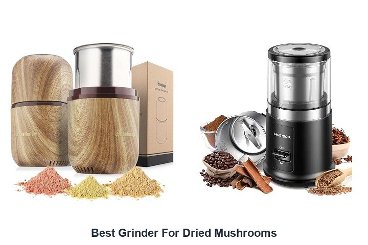 best grinder for dried mushrooms
