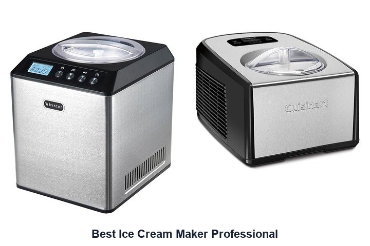 best ice cream maker professional​