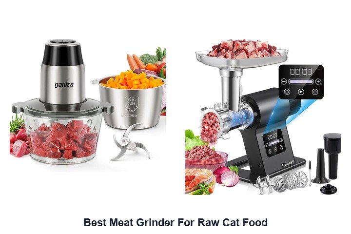 best meat grinder for raw cat food