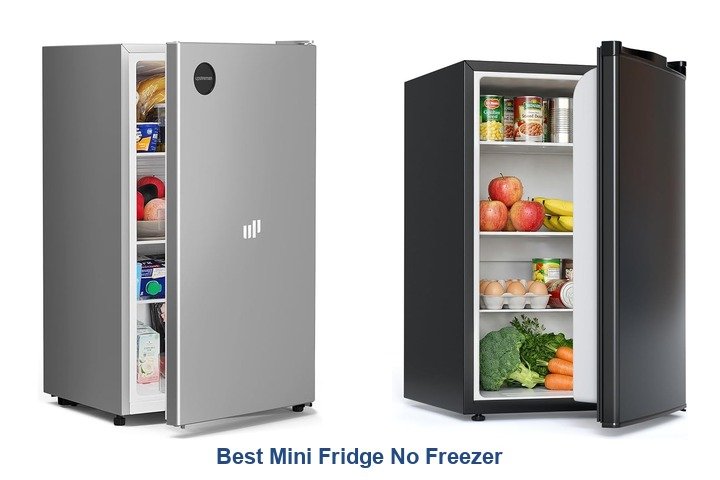 best mini fridge no freezer