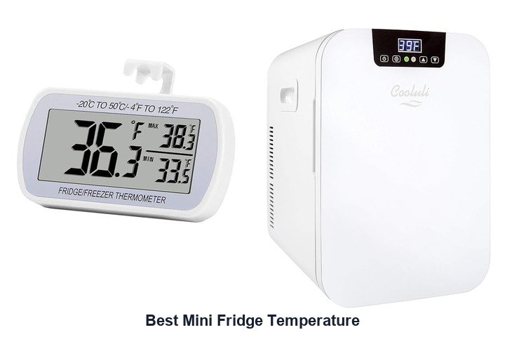 best mini fridge temperature​