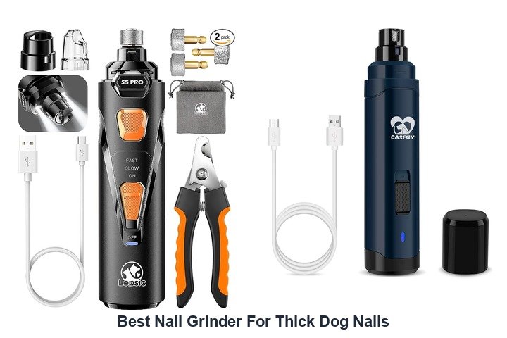 best nail grinder for thick dog nails