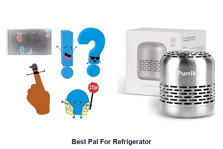best pal for refrigerator
